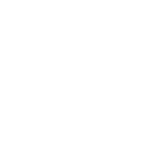 Julie Verdier